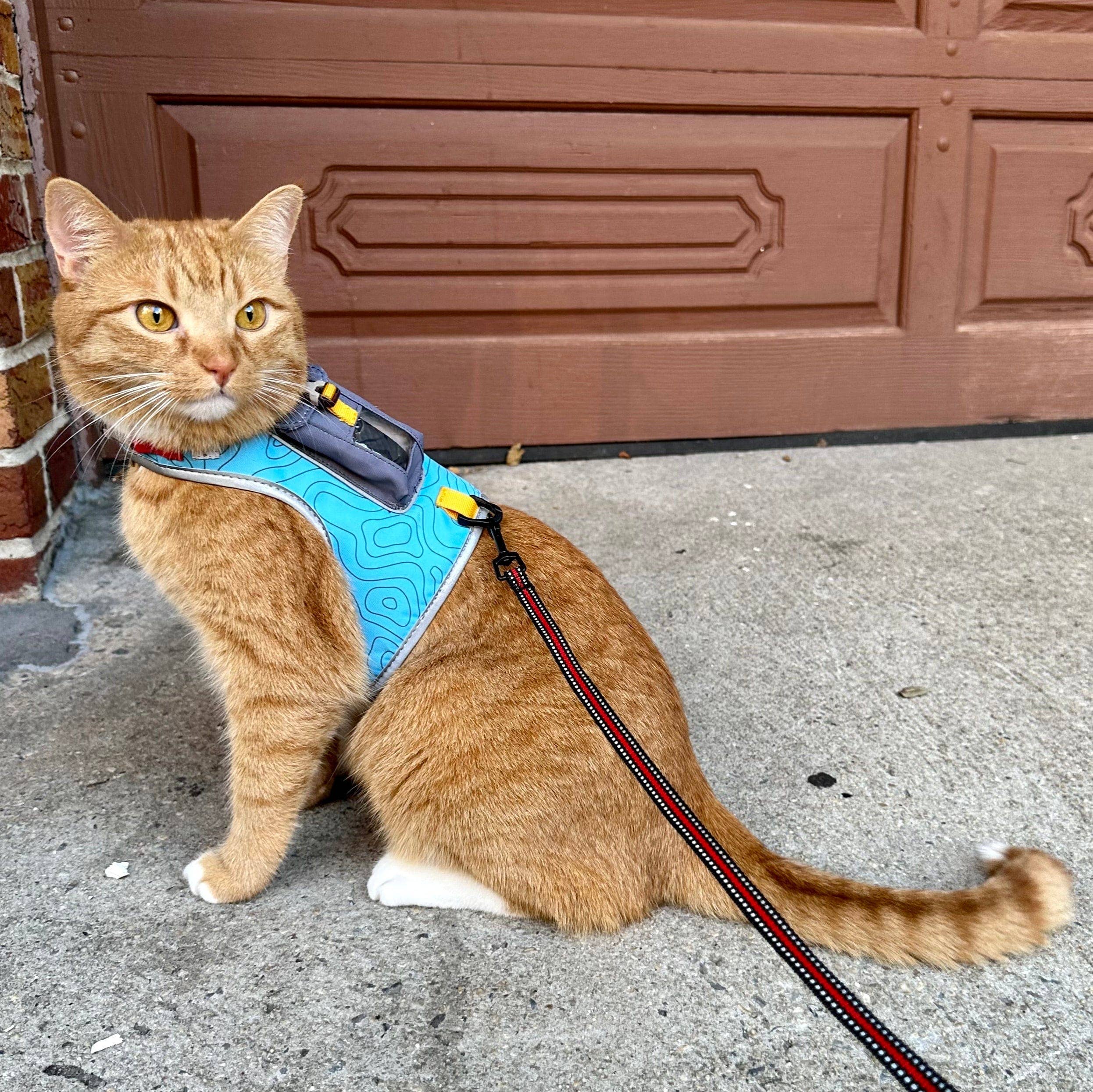 Travel Cat | Your Cat Backpack - "The Pathfinder" Cat Harness with GPS Tracker Pocket - Power: Orange Sunset / L